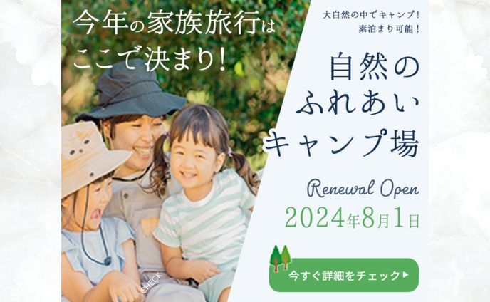 キャリア、インスタ広告