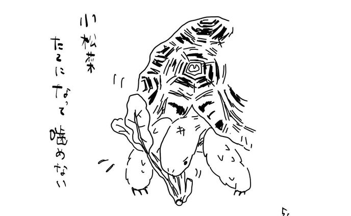 ワイルド食い

野菜切りません…

#リクガメ
#ヒョウモンリクガメ
#かめのいる暮らし
#かめすきさんと繋がりたい 
#イラスト