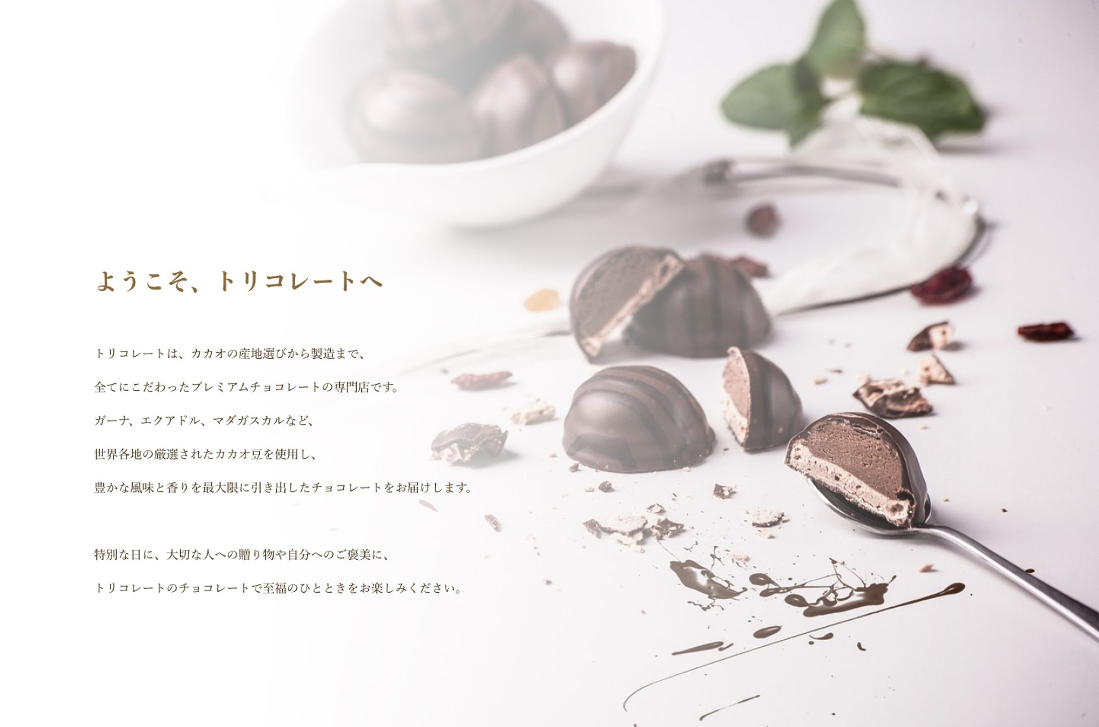 【Webデザイン】Toricolate Online Shop-1