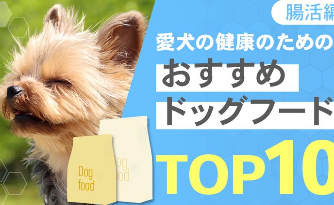 動物系サムネ
