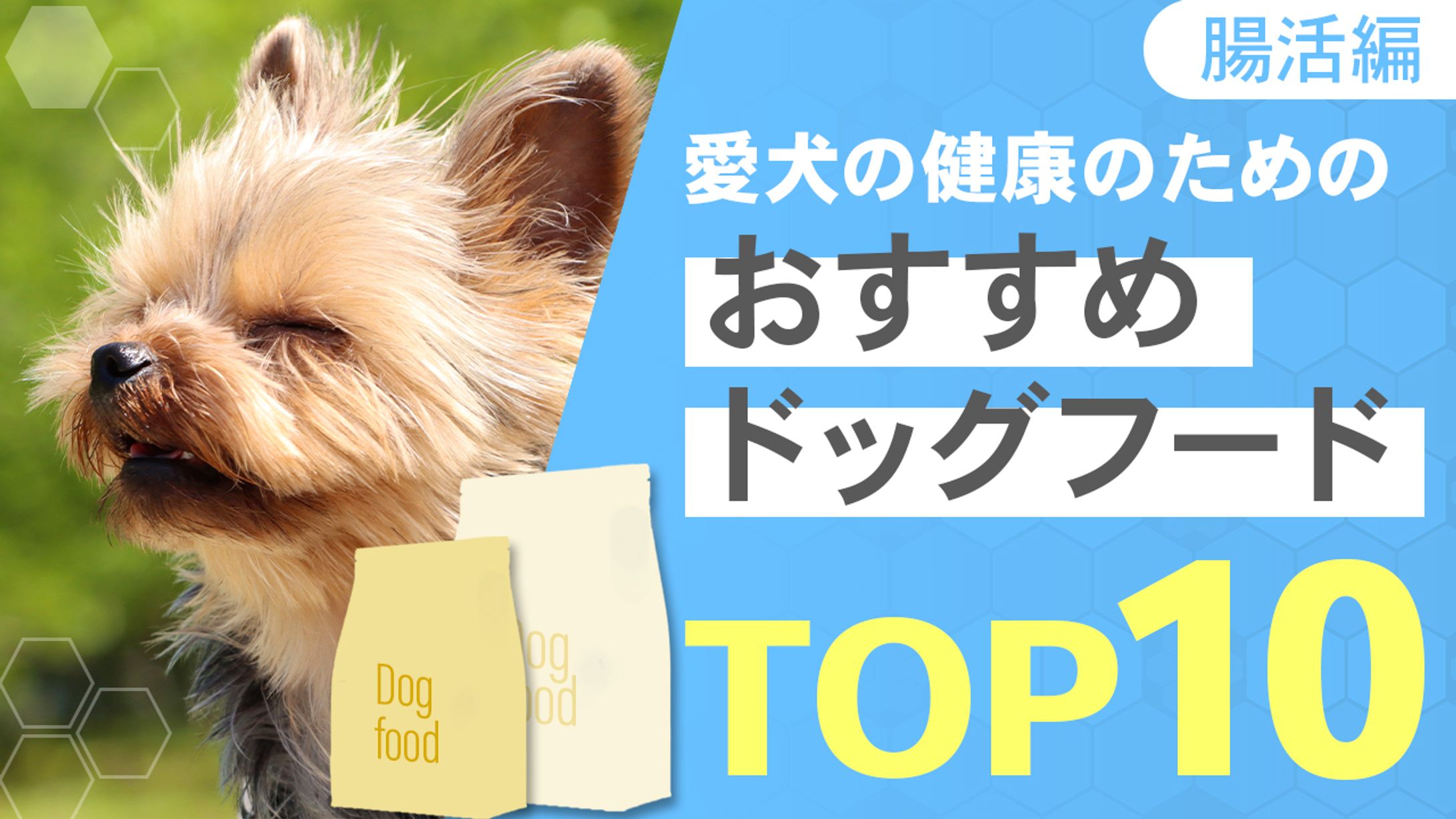 動物系サムネ-1