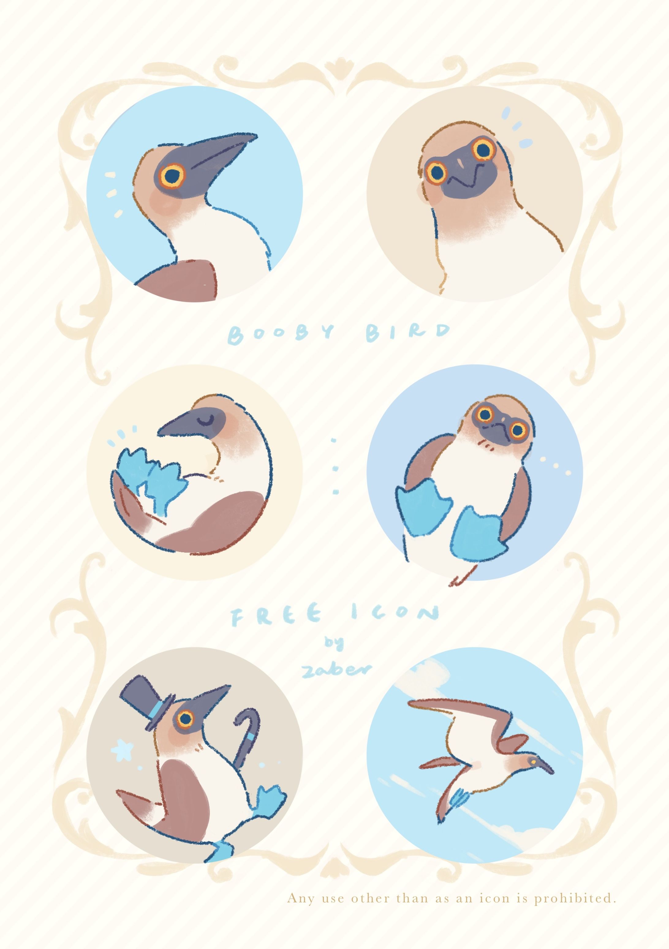 Booby Bird-1