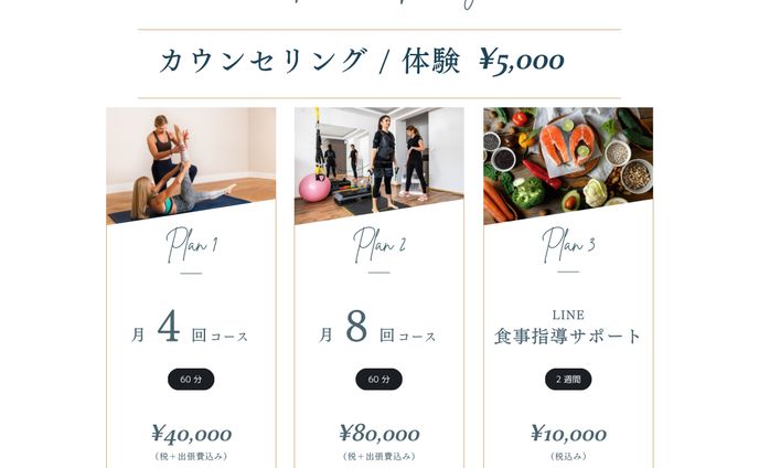 InstagramDM用　料金のプラン