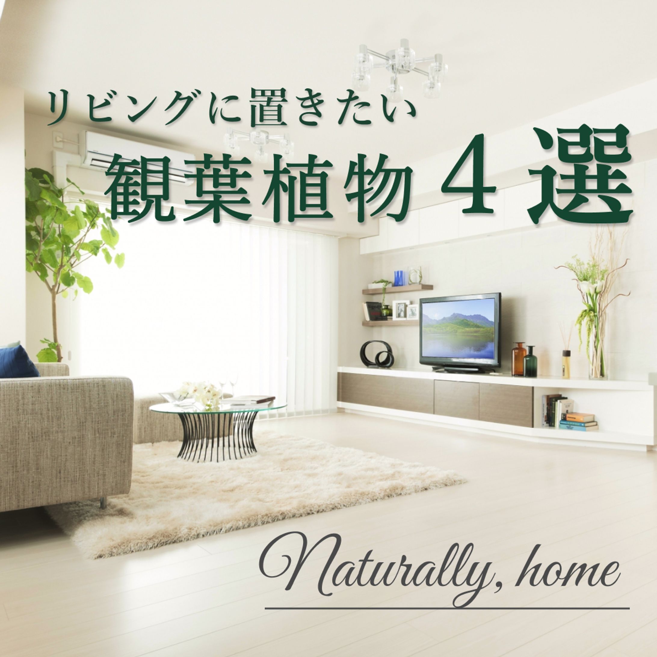フィード投稿-1