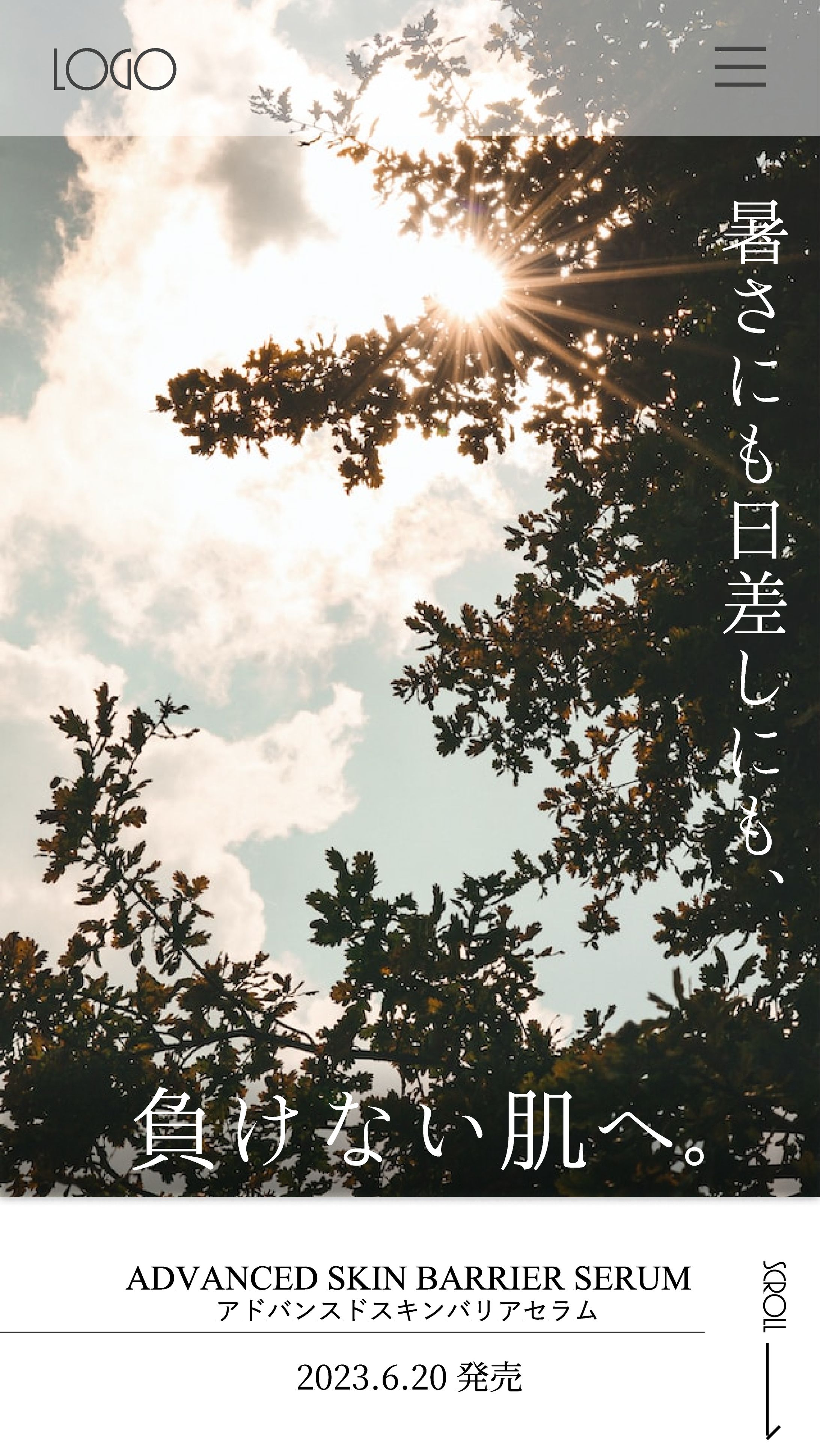 化粧品紹介ページ　デザインカンプ-1