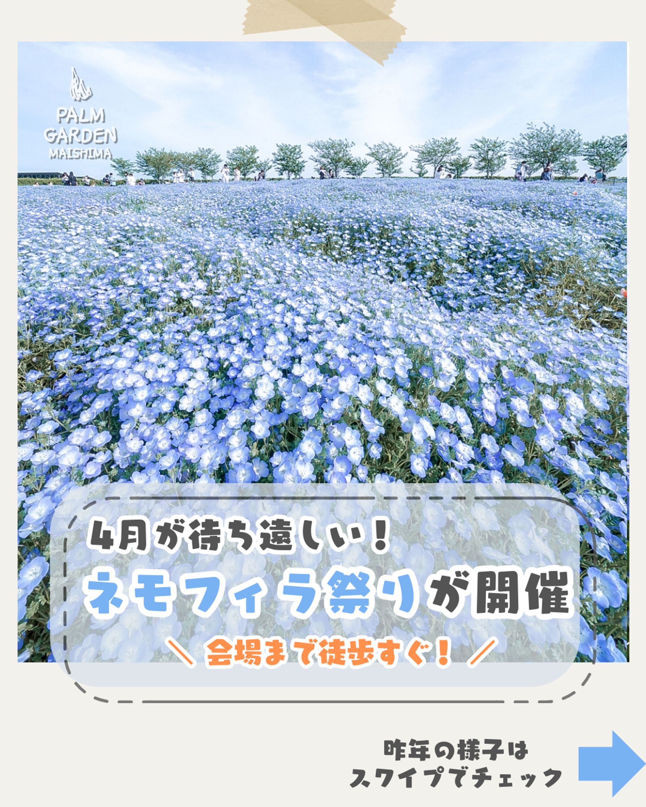 パームガーデン舞洲様-1