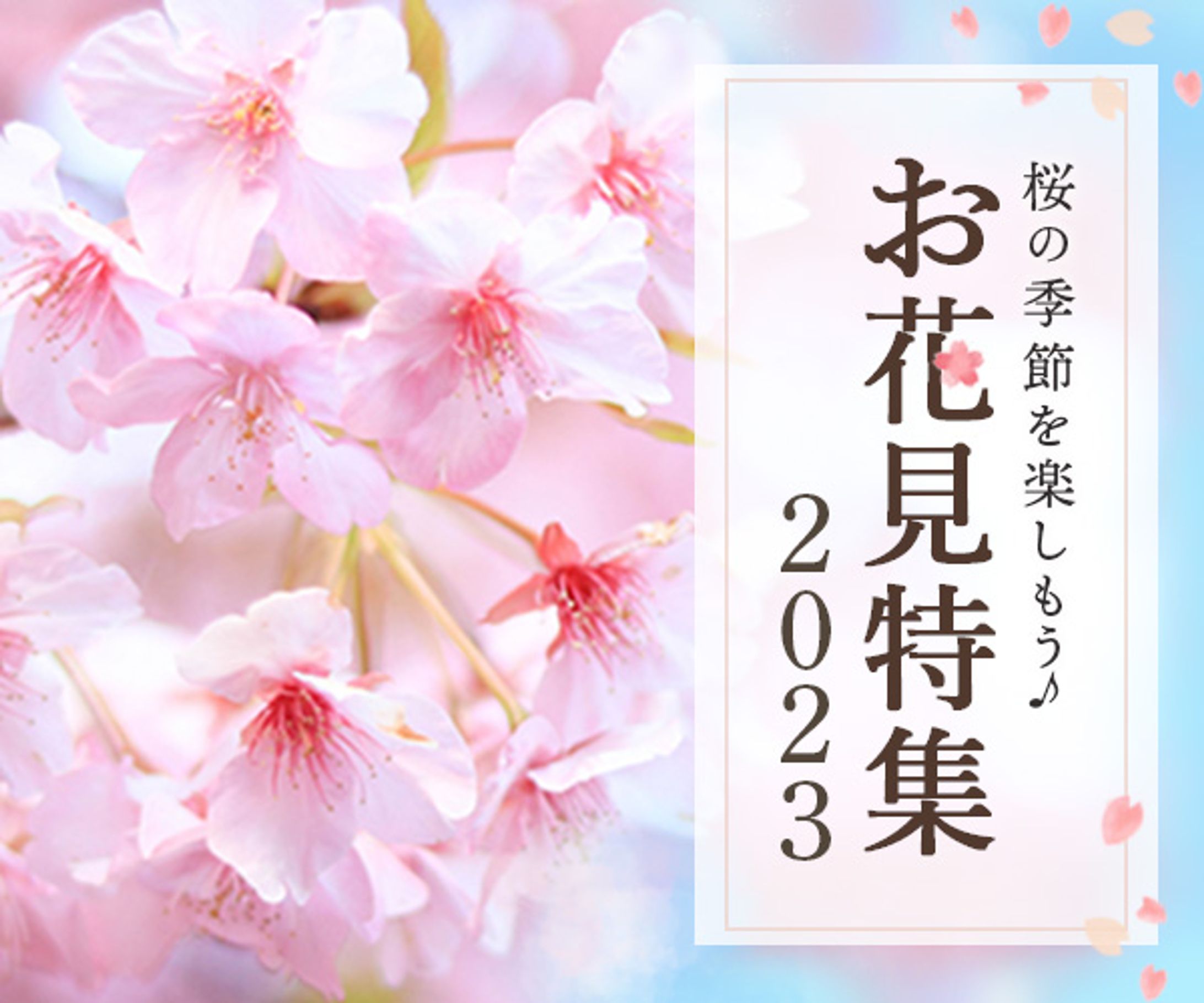 お花見バナー-1