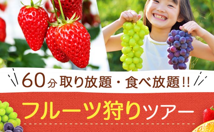 バナー：フルーツ狩り