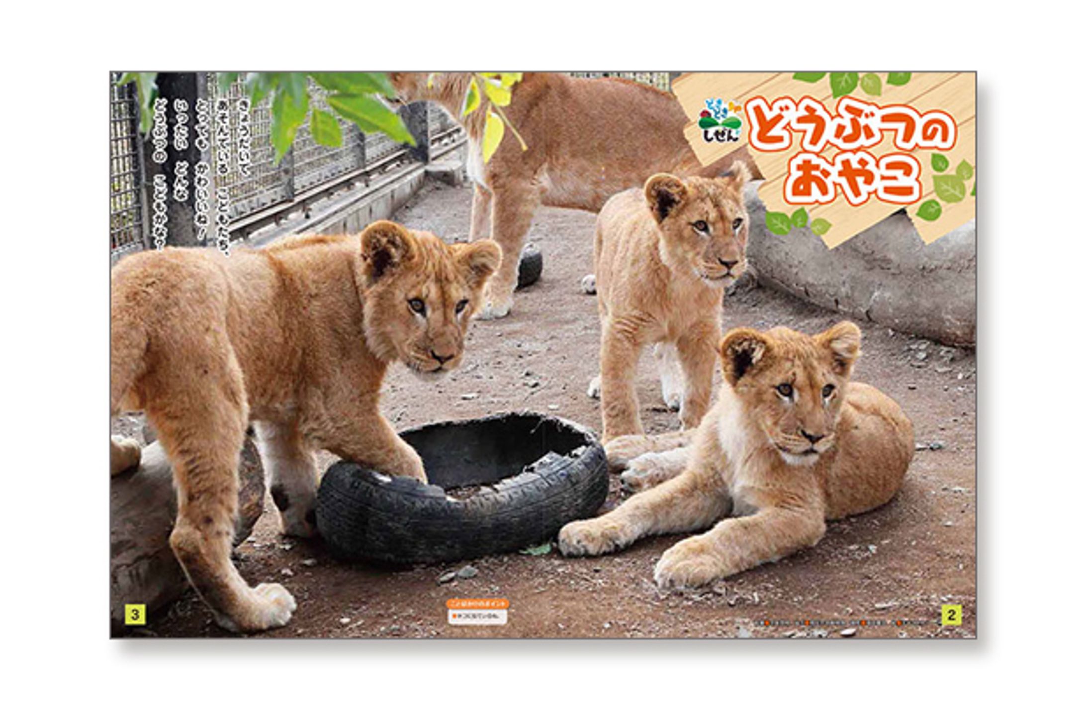 キンダーブック3-1