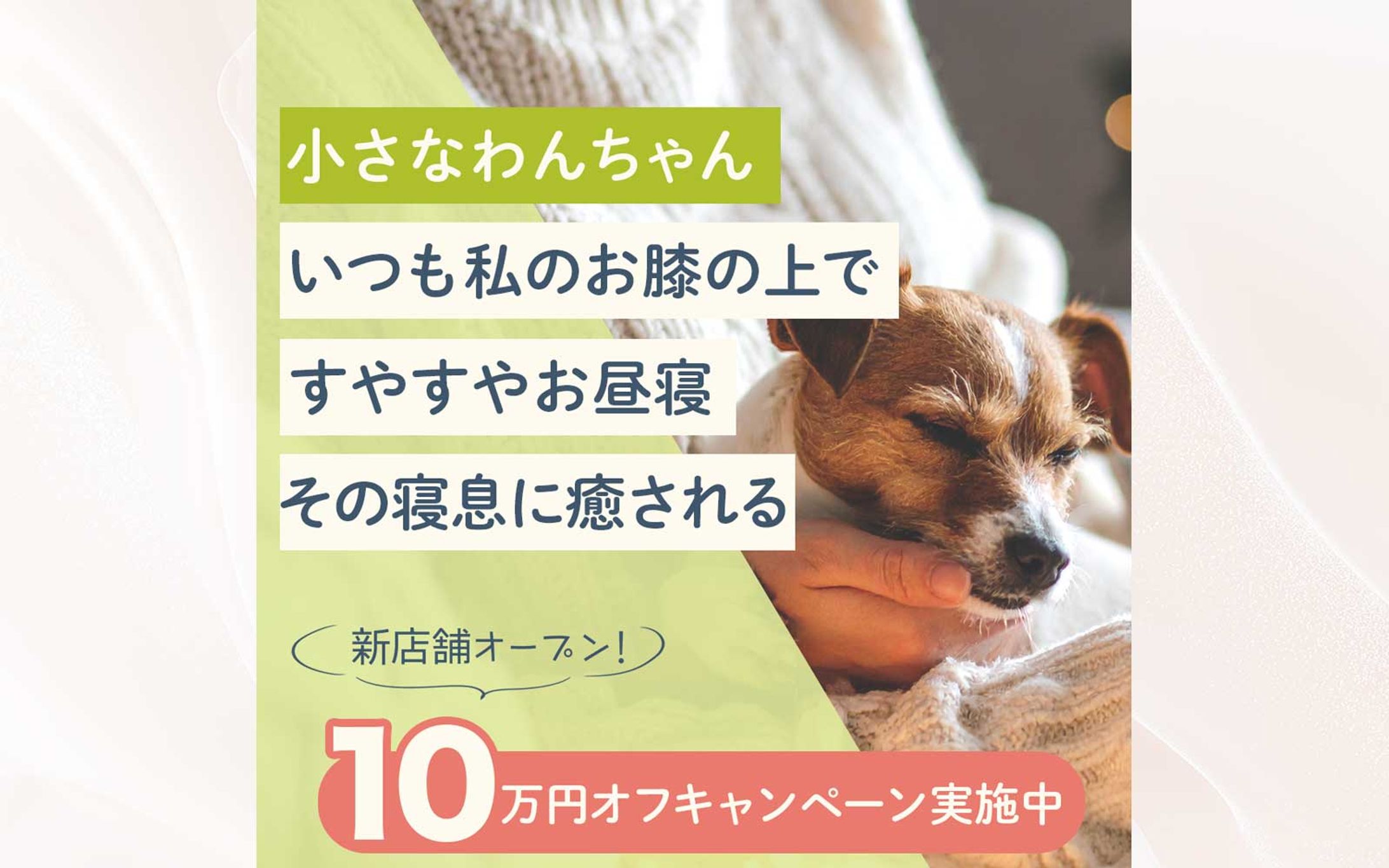 バナー：動物カフェ-1