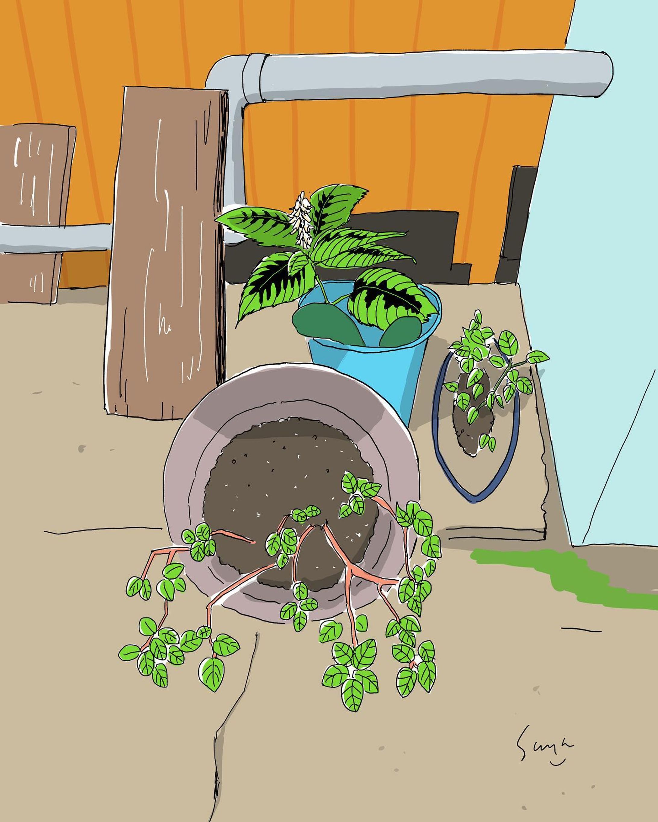 庭スケッチ
garden sketch

#way105 #illustration #procreate-1