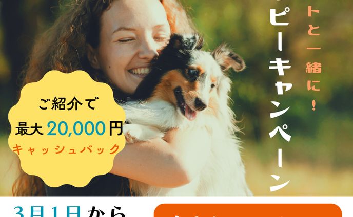 ペットショップバナー