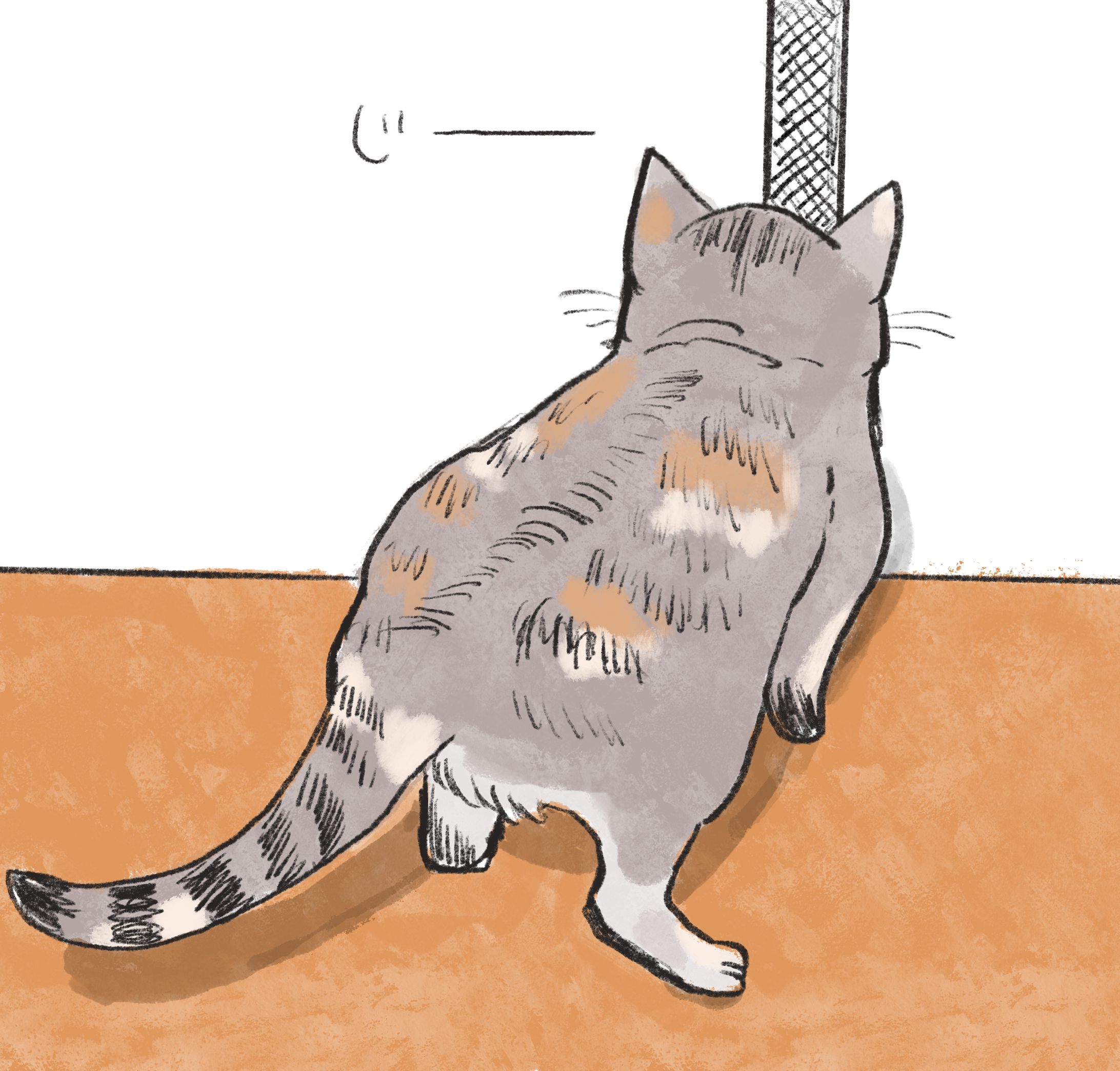 うちの猫-1