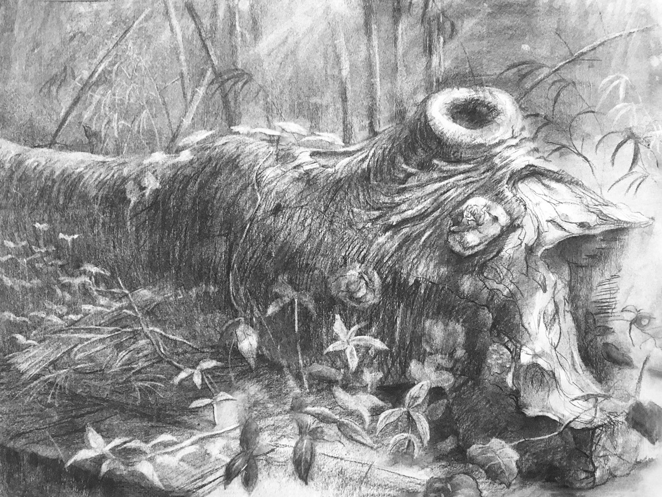 木炭デッサン-1