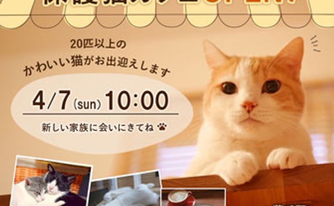 保護猫カフェ　バナー