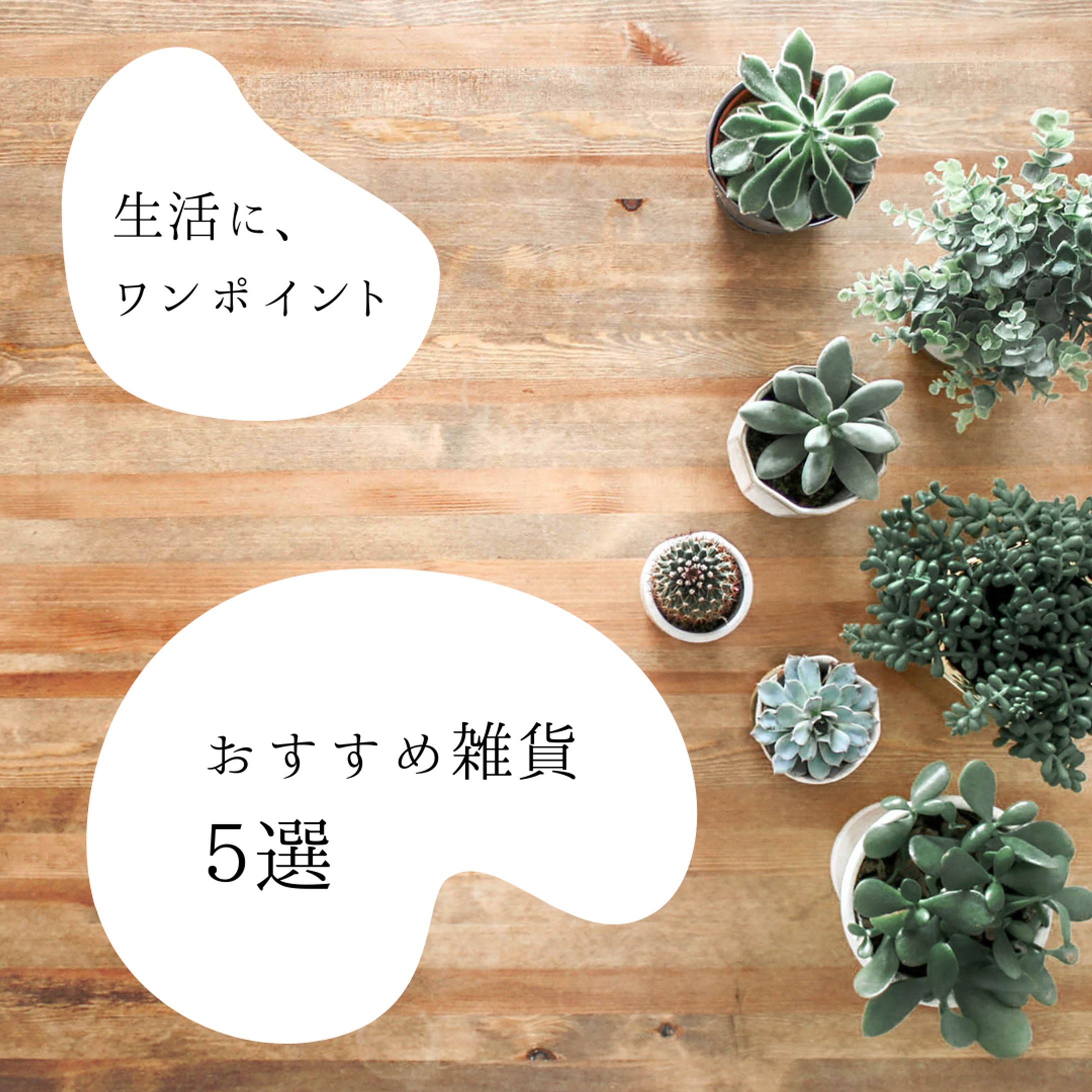 雑貨紹介アカウント-1