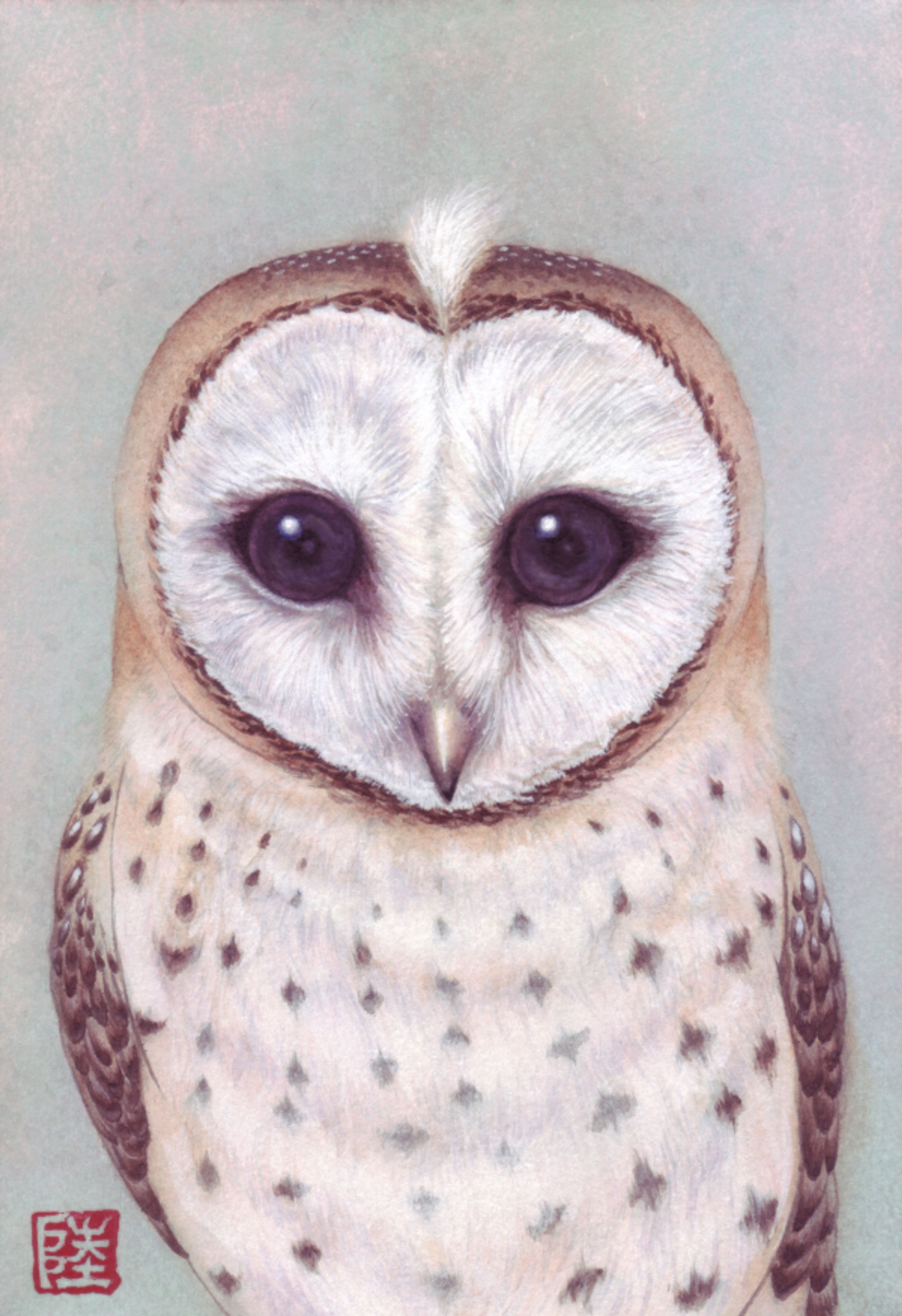 「メンフクロウ」-1