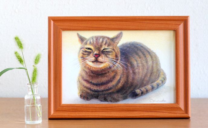 猫のひぃちゃん｜色鉛筆イラスト
