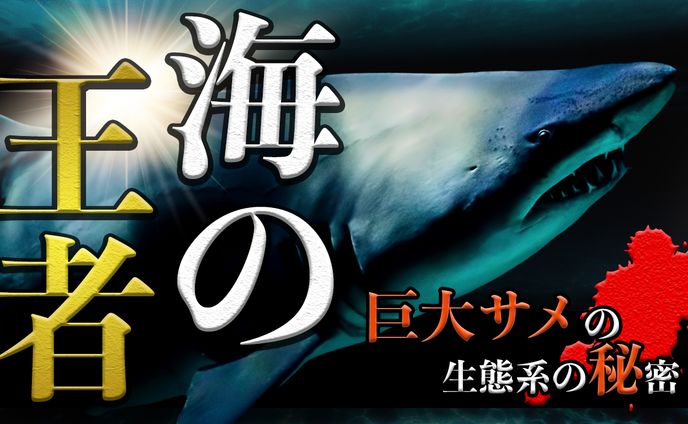 知識系サムネイル