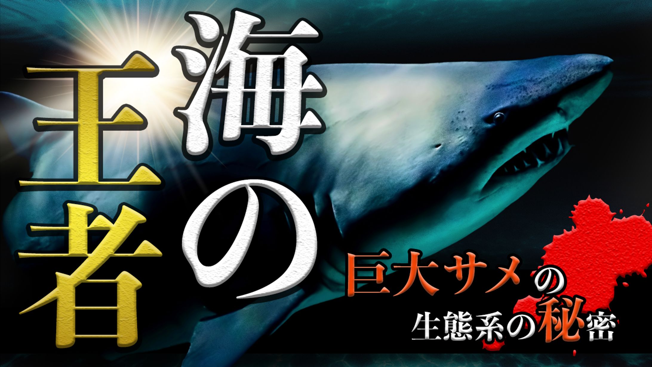 知識系サムネイル-1