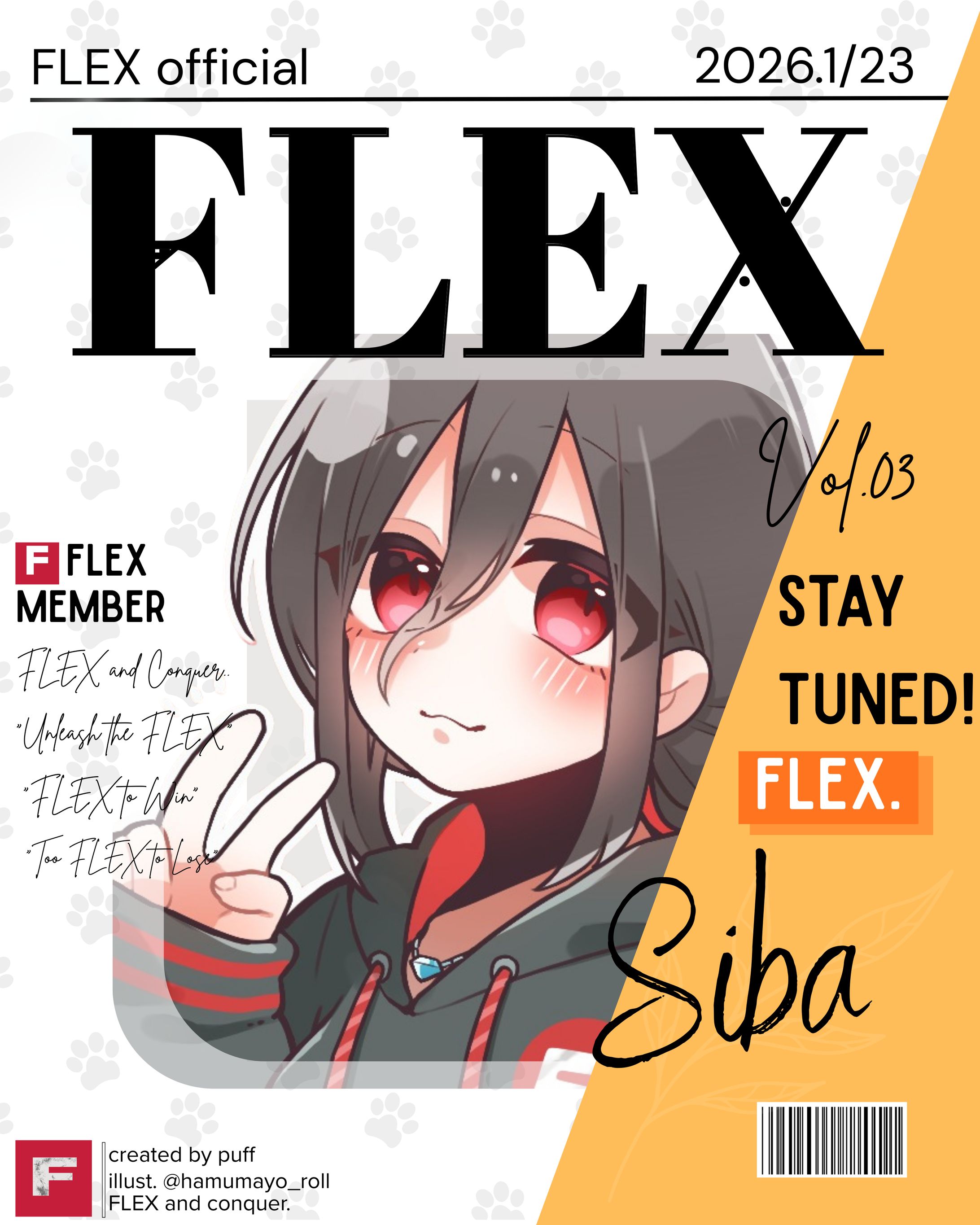 FLEX用-1