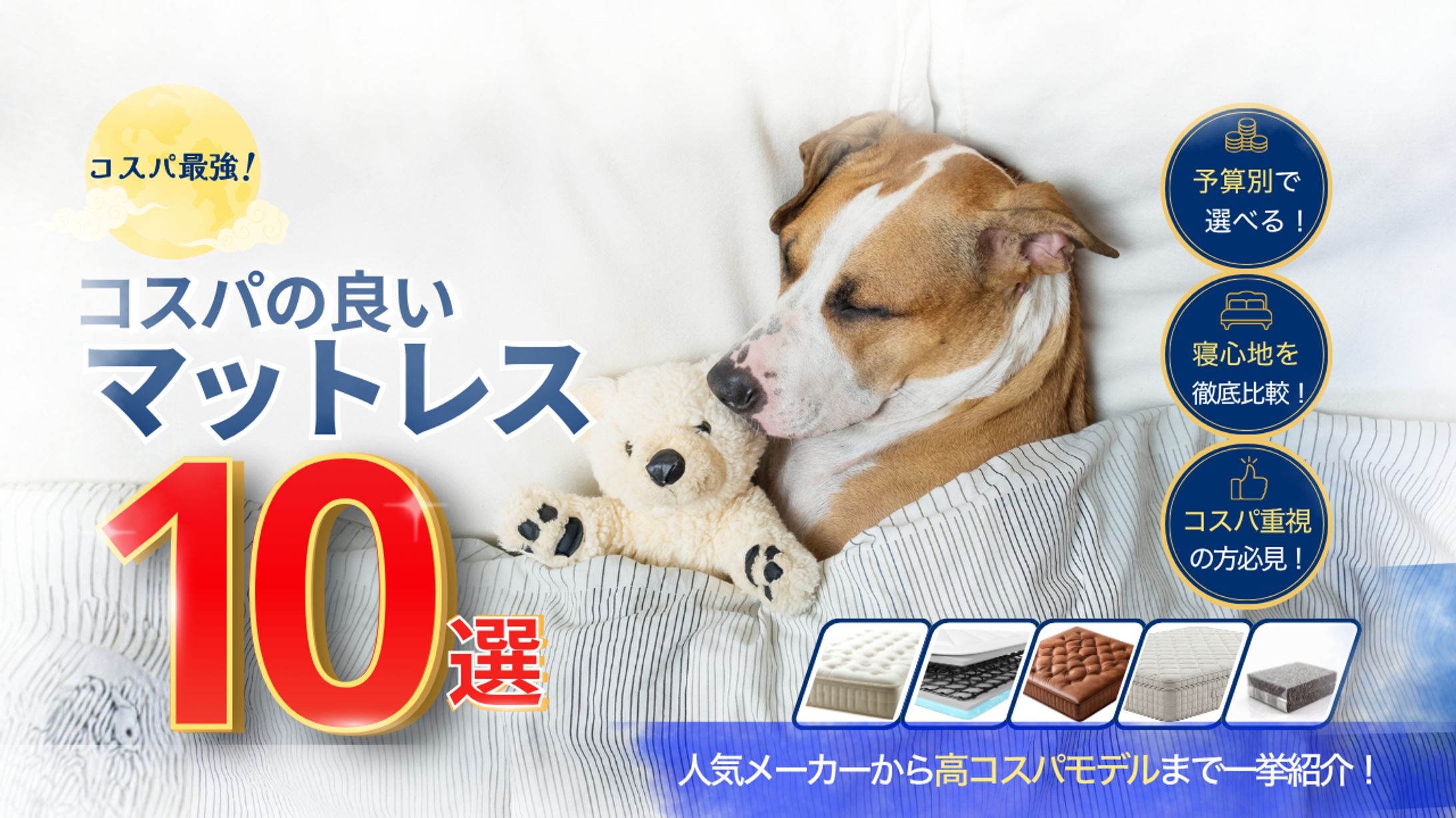 ぐっすり眠る犬に思わずほっとする、癒し系サムネイル。  。  【コンペ作品】-1