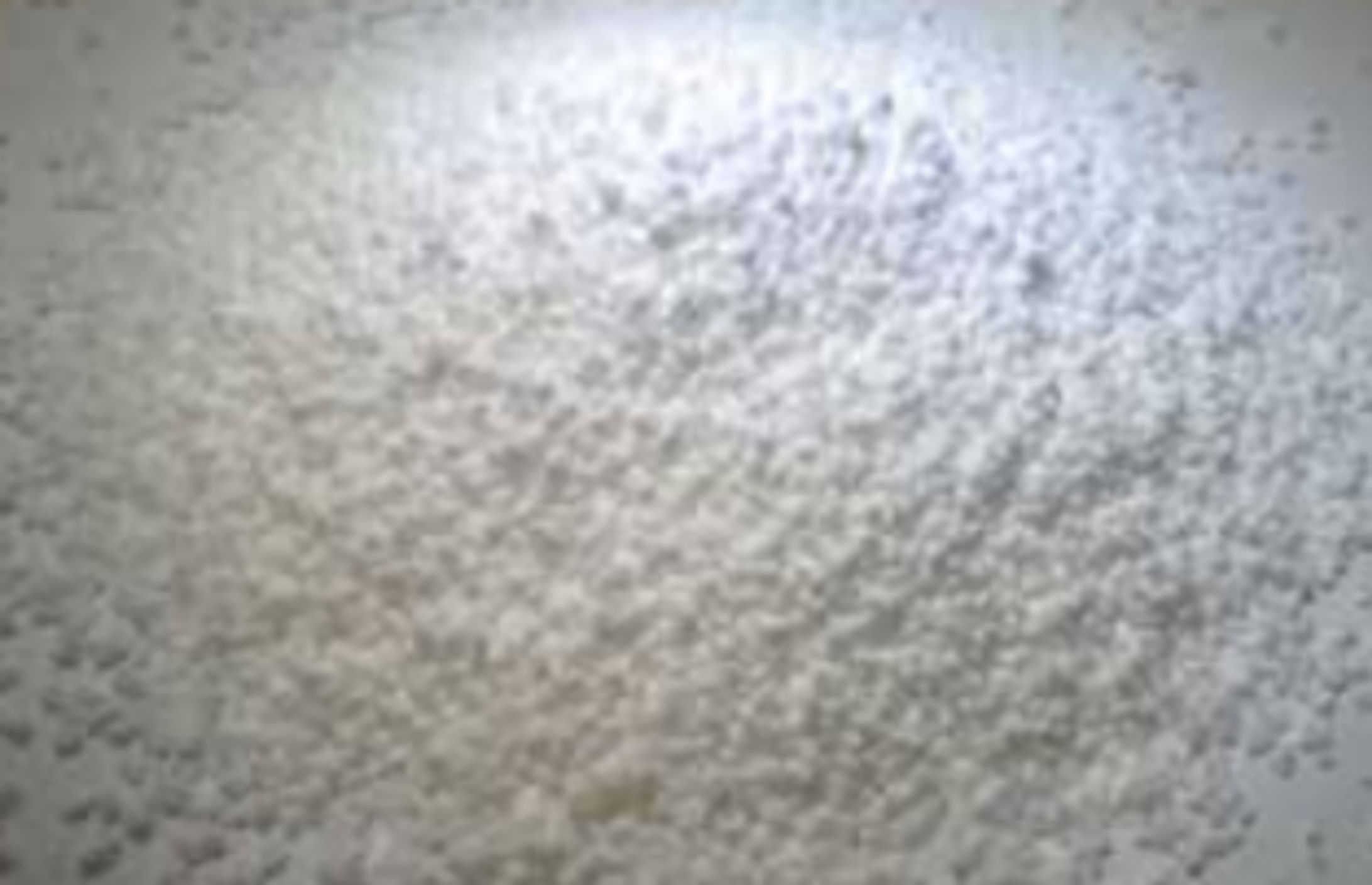 RDX（シクロナイト）およびHMX（オクトーゲン）の最新調査：2026 - 2032年市場規模、動向、主要企業動向と成長予測-1