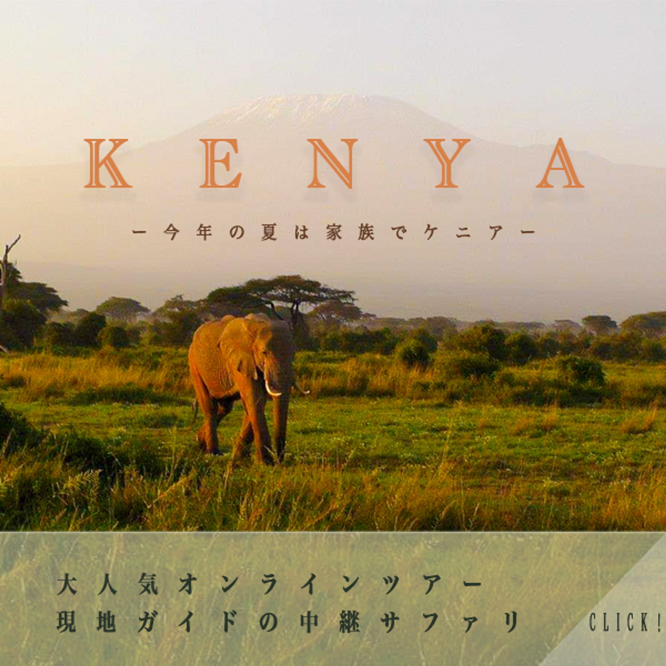 LINE リッチメッセージ-1