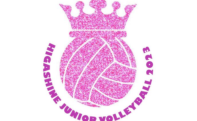 Logo: Volleyball + crown