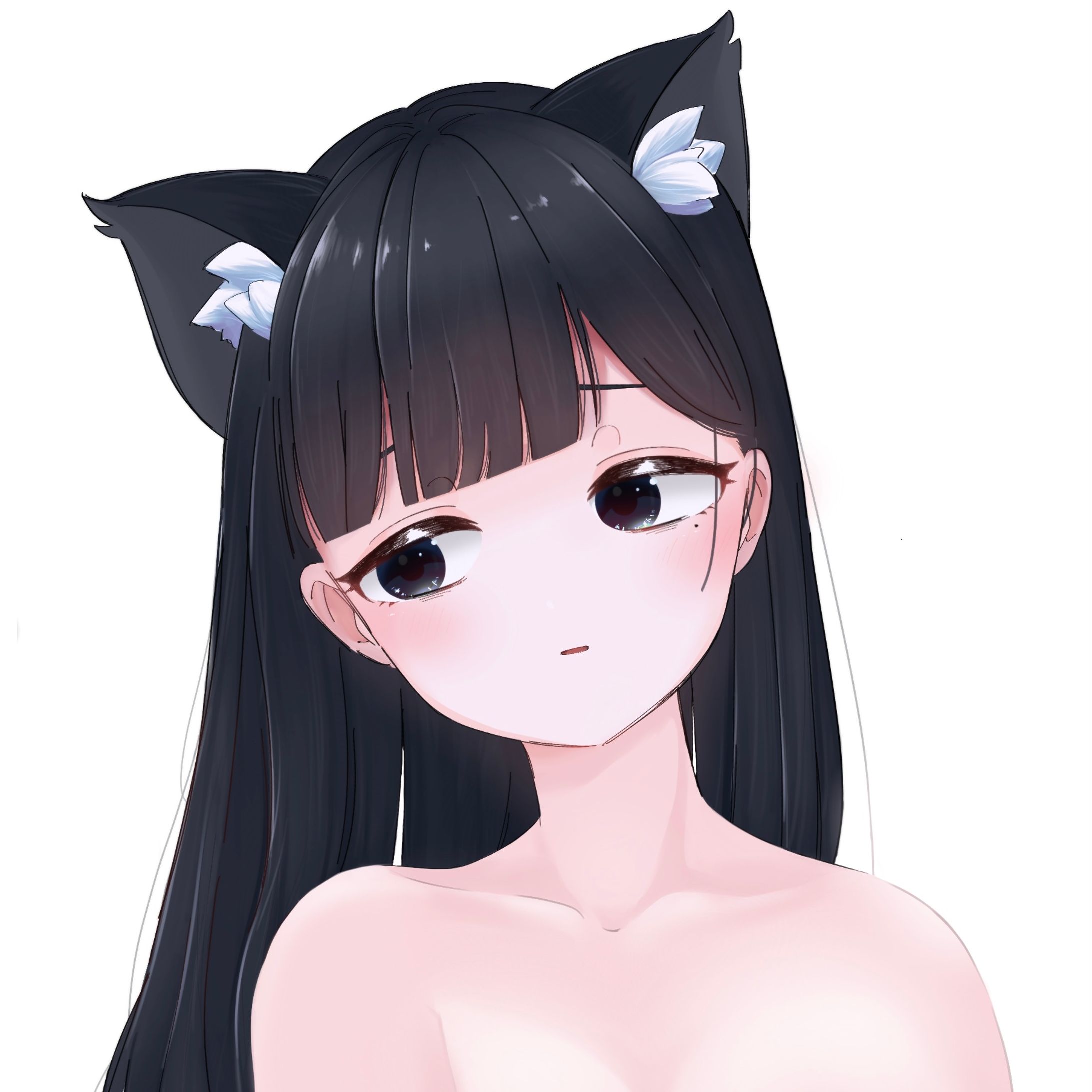 イラスト資料-2025-1