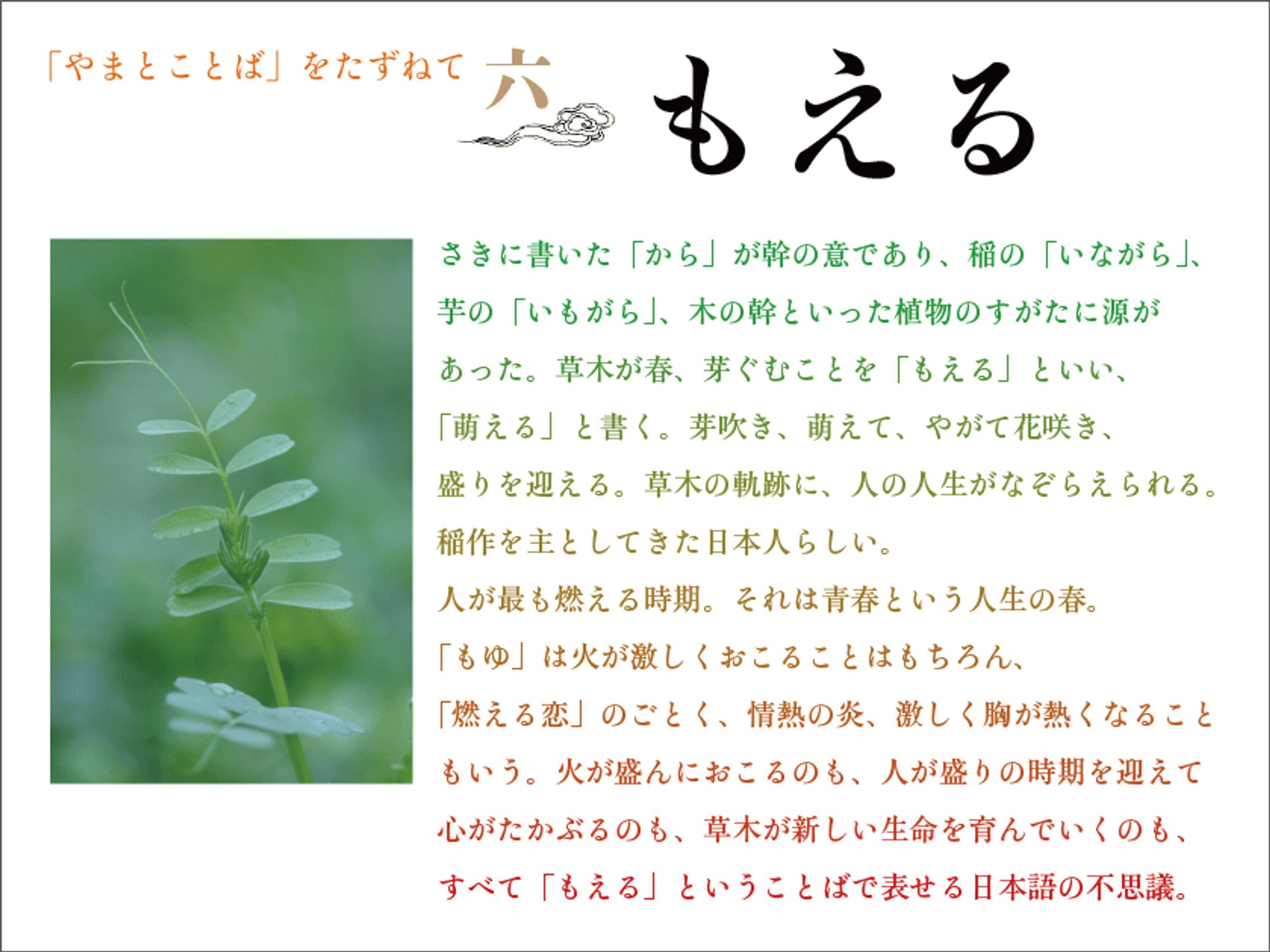 やまとことばをたずねて Web連載《06》-1