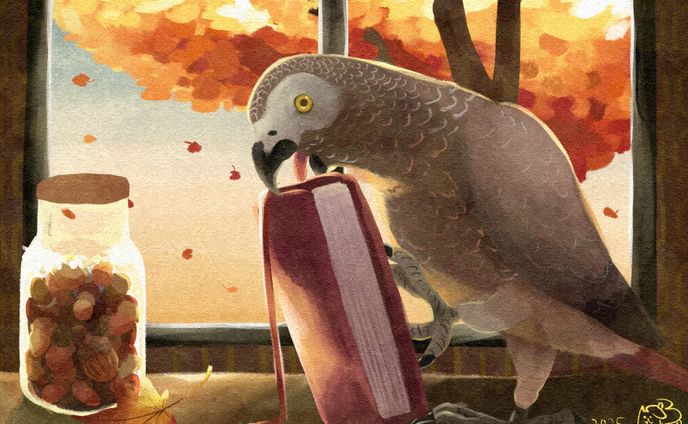 本とヨウムと標本瓶