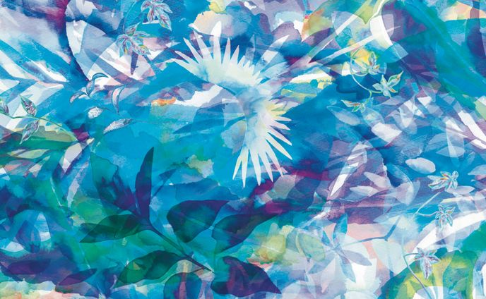作家、fabric