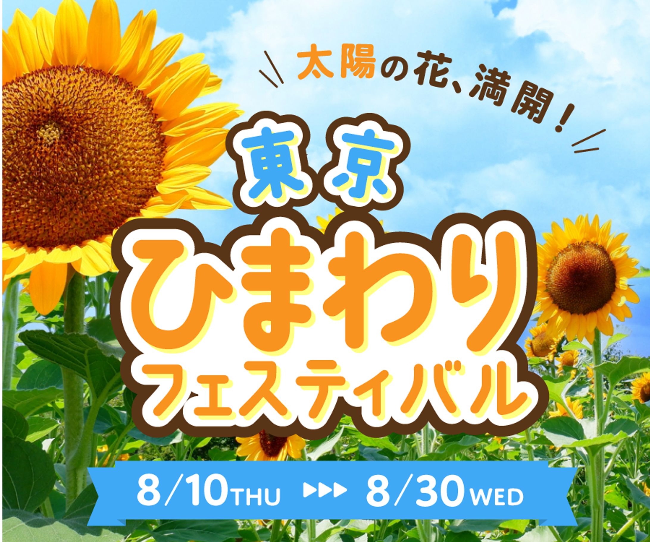 ひまわりフェスティバルバナー３案-1