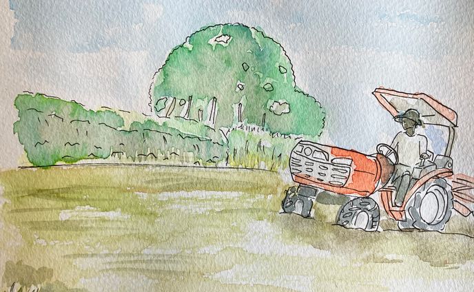 水彩　米作り　代かき