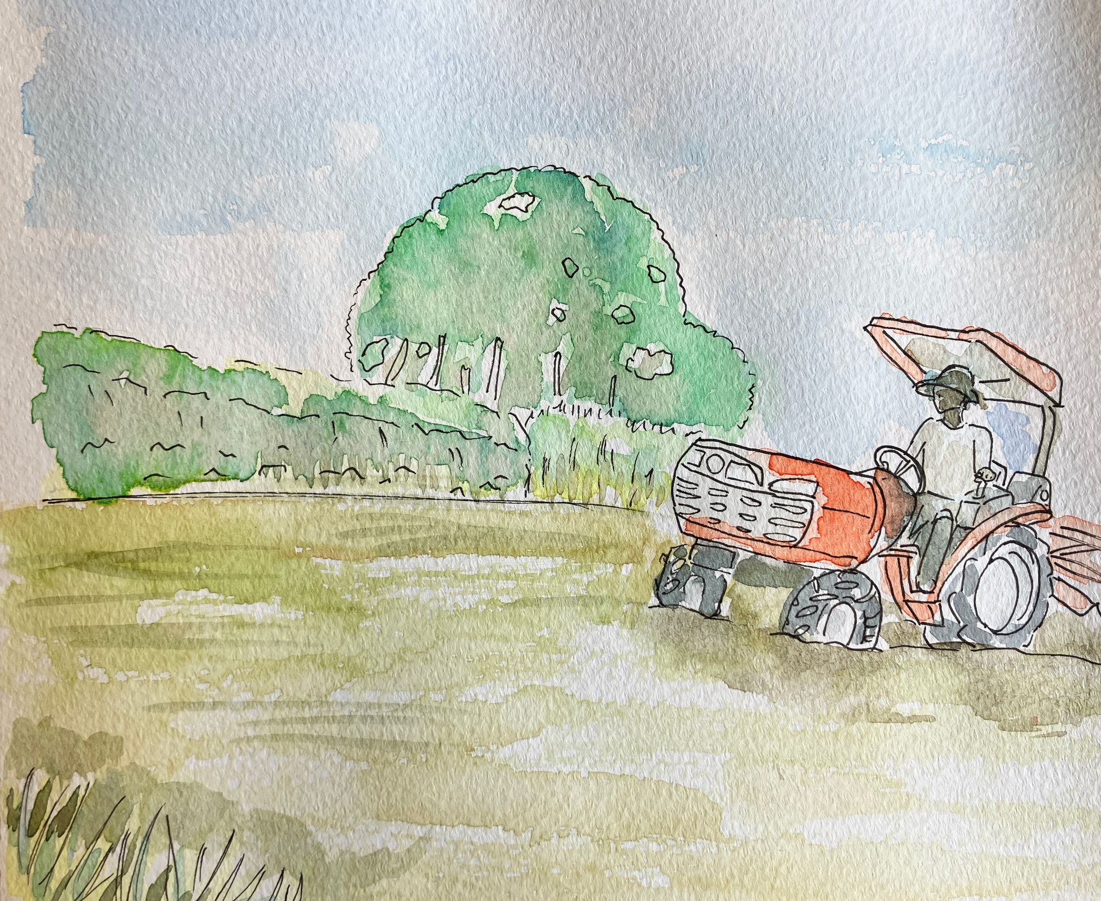 水彩　米作り　代かき-1