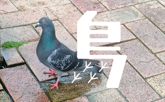 まちもじ散歩 「鳩」「植」「並」「灯」20250614