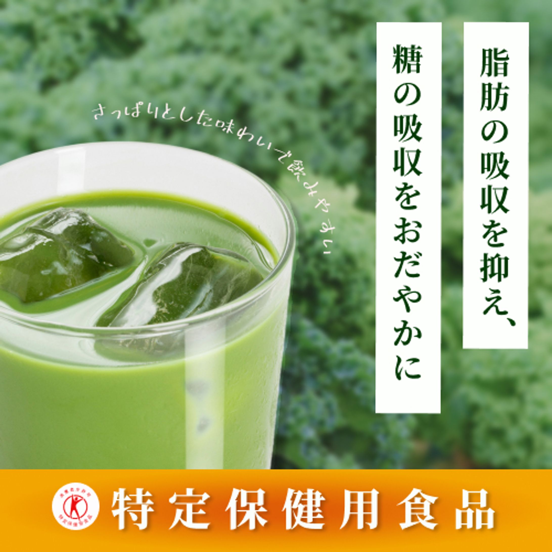 健康食品系バナー-1