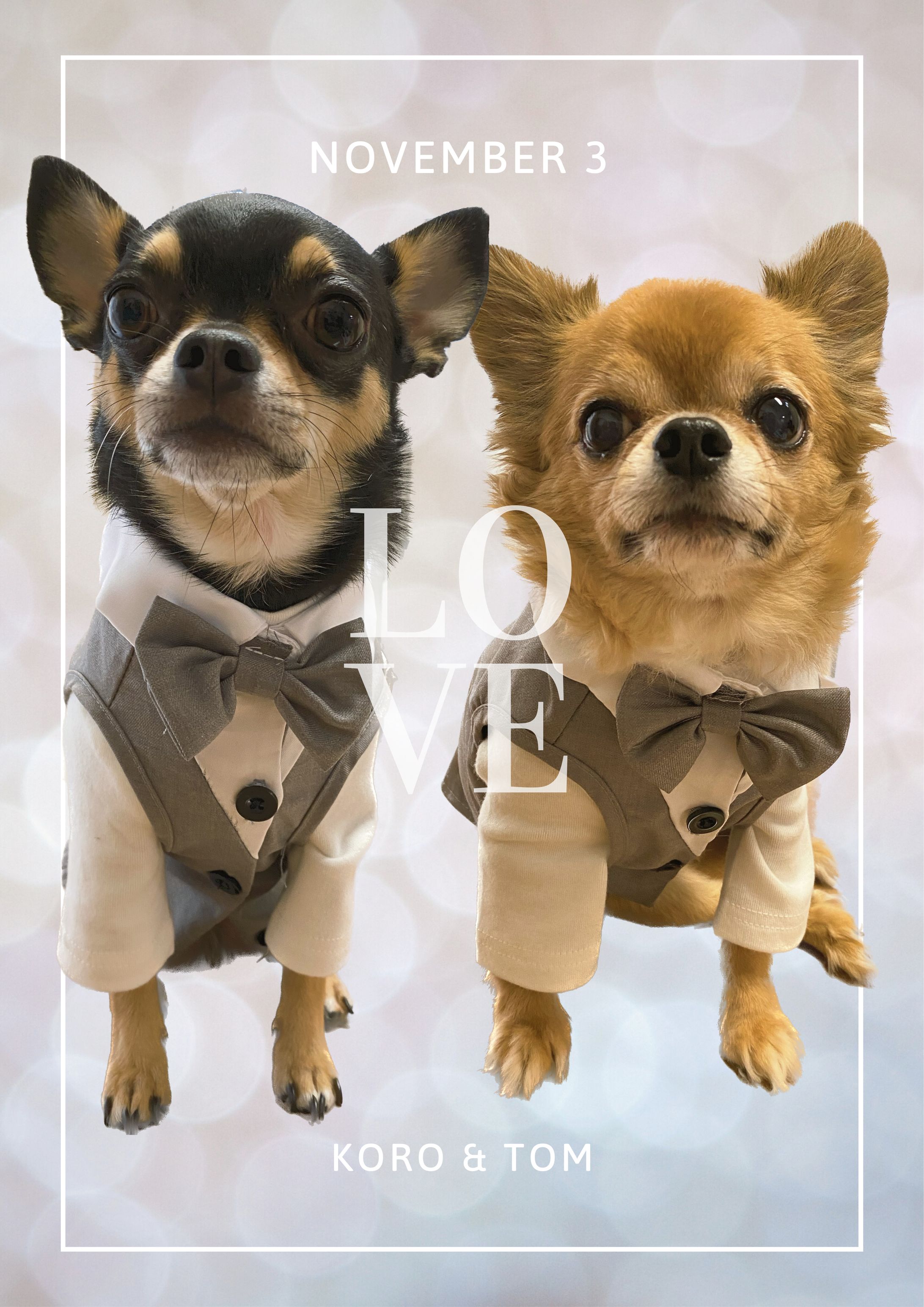 Wedding  Poster-1