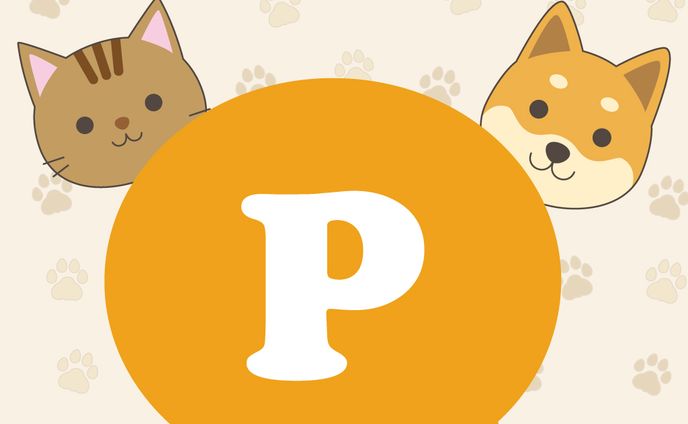 petchat（AIトークアプリ）