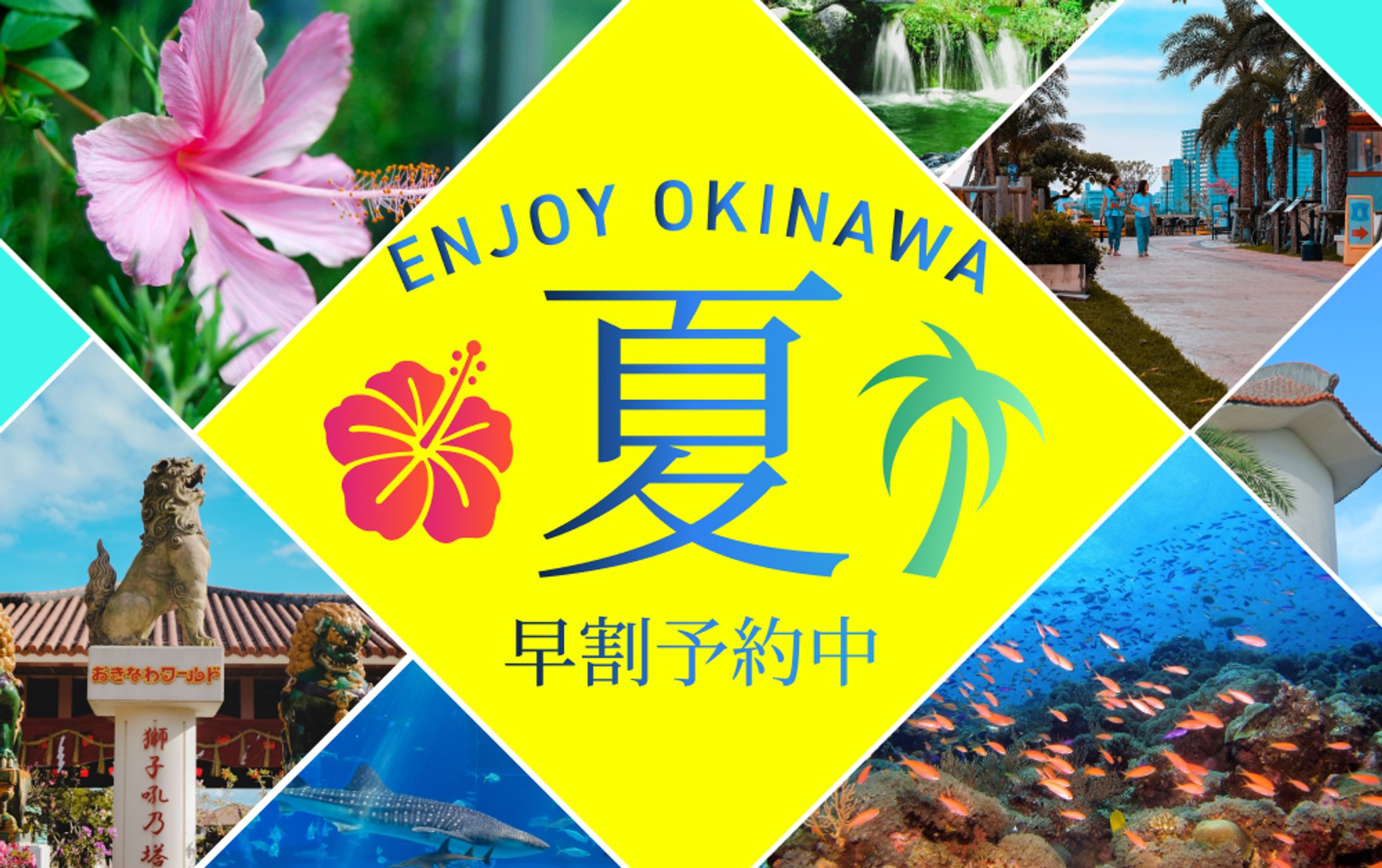 夏広告バナー-1