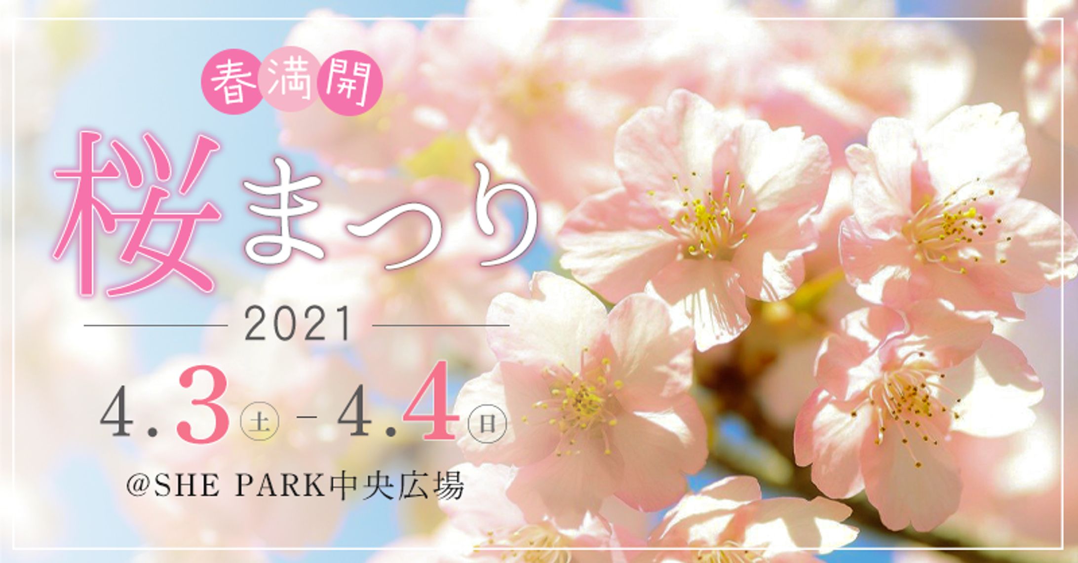 桜まつりバナー（架空案件）-1