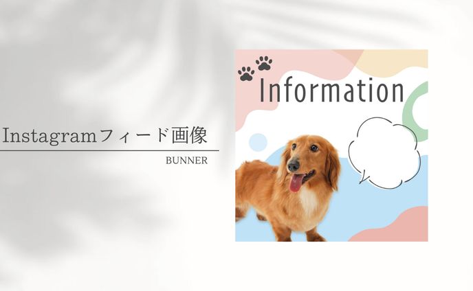 犬メディアのインスタフィード画像：雛形