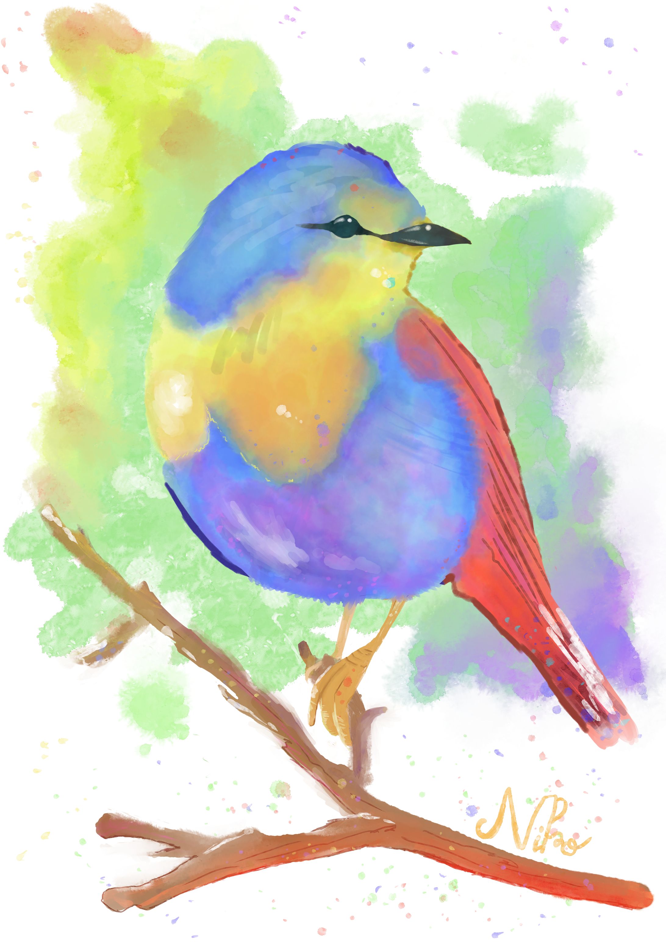 水彩イラスト(鳥)-1