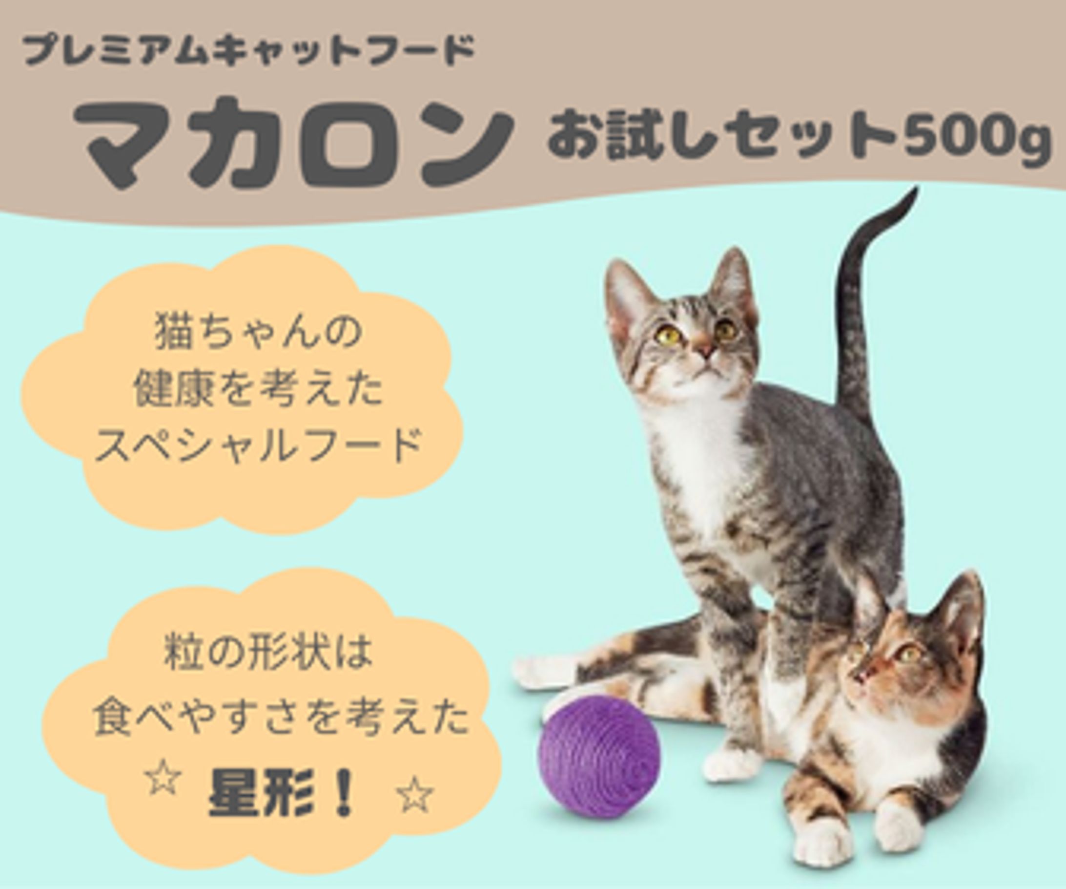 キャットフードお試しバナー（架空バナー 2案 336×280）-1