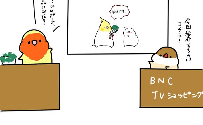 深夜テンションで考えたテレビショッピング