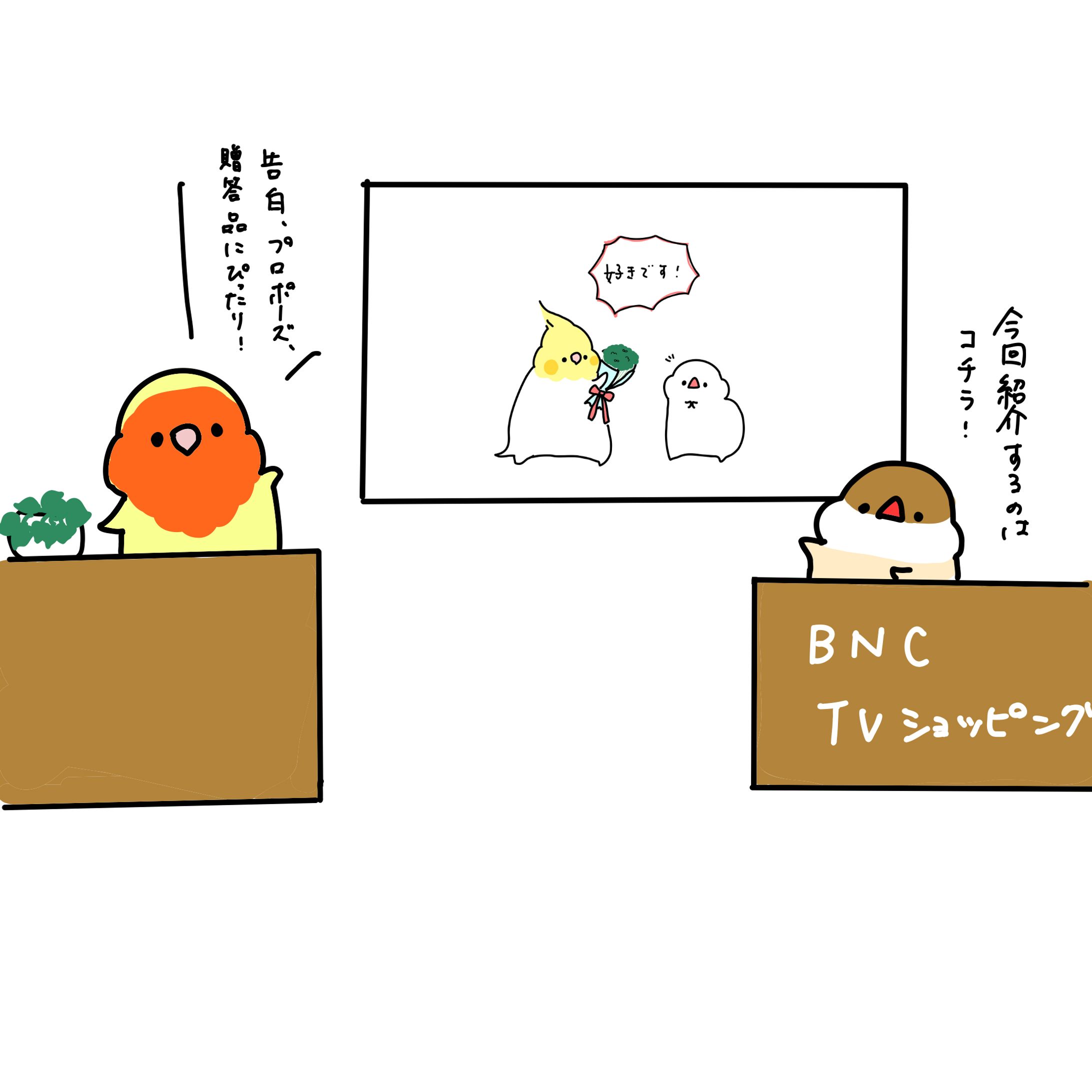 深夜テンションで考えたテレビショッピング-1