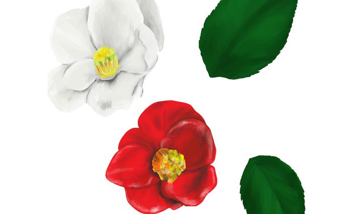 つばき