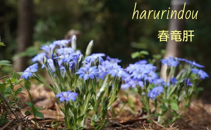 photo、transition