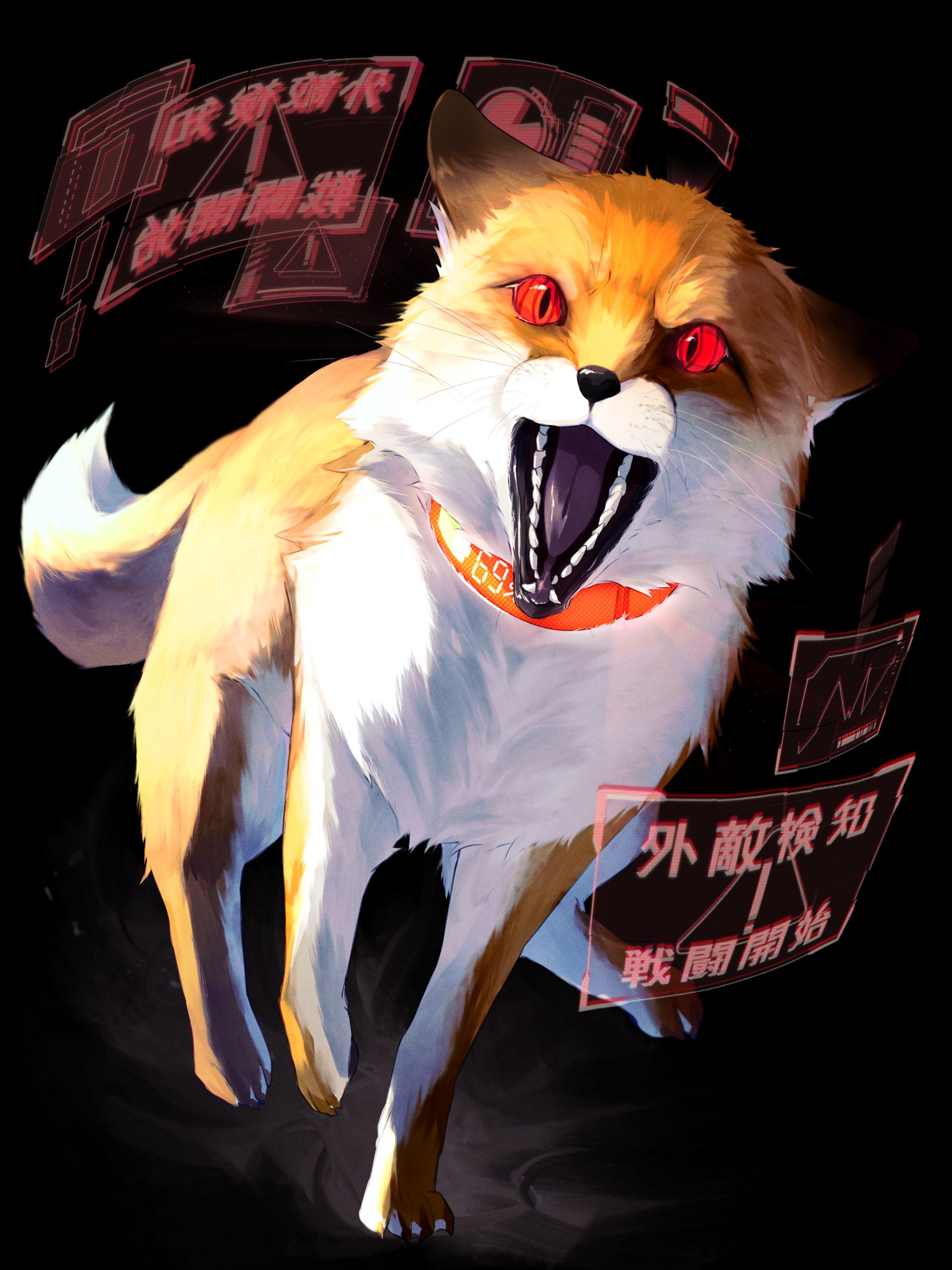 PBW / 3点セット / コンロ・コンバッティア様-1